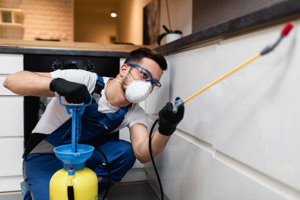 Best Affordable Pest Control Services  in Fall River, WI